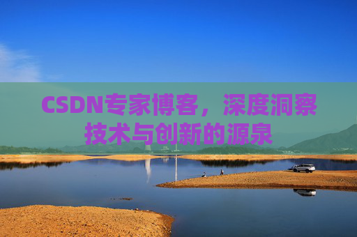 CSDN专家博客，深度洞察技术与创新的源泉